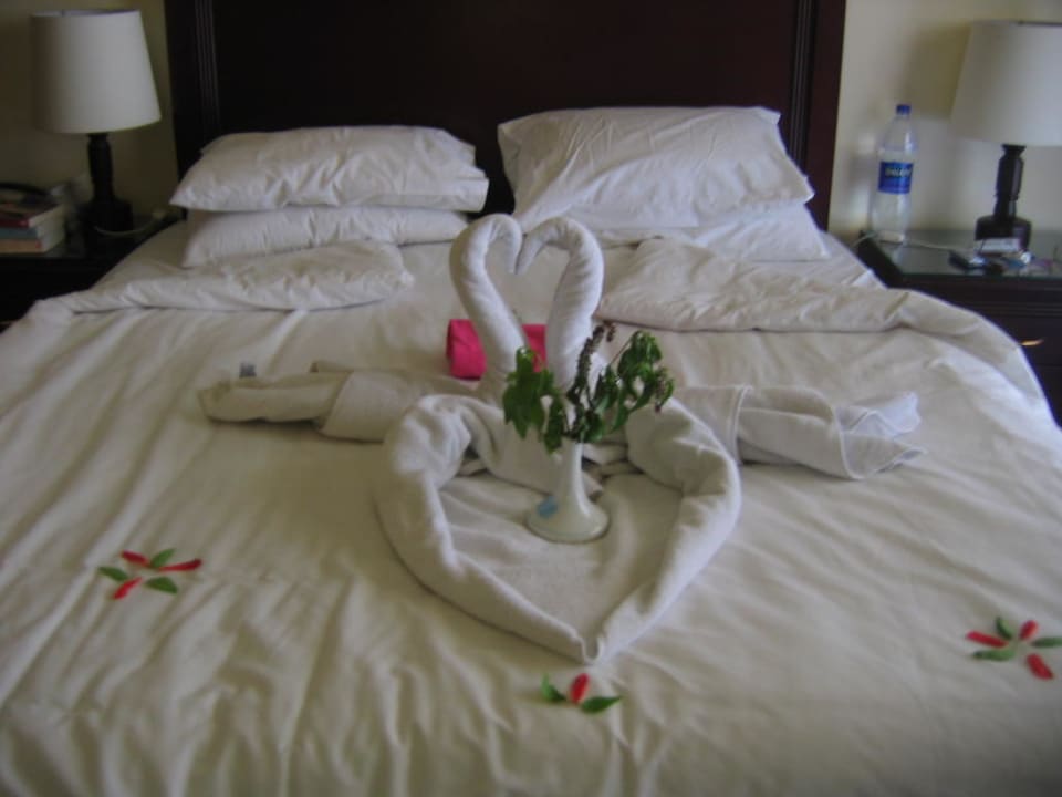 Mooi he Pyramisa Hotel Luxor