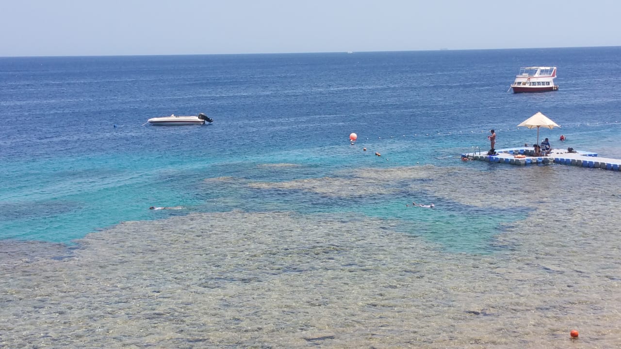 Strand Concorde El Salam Hotel Sharm el Sheikh by Royal Tulip
