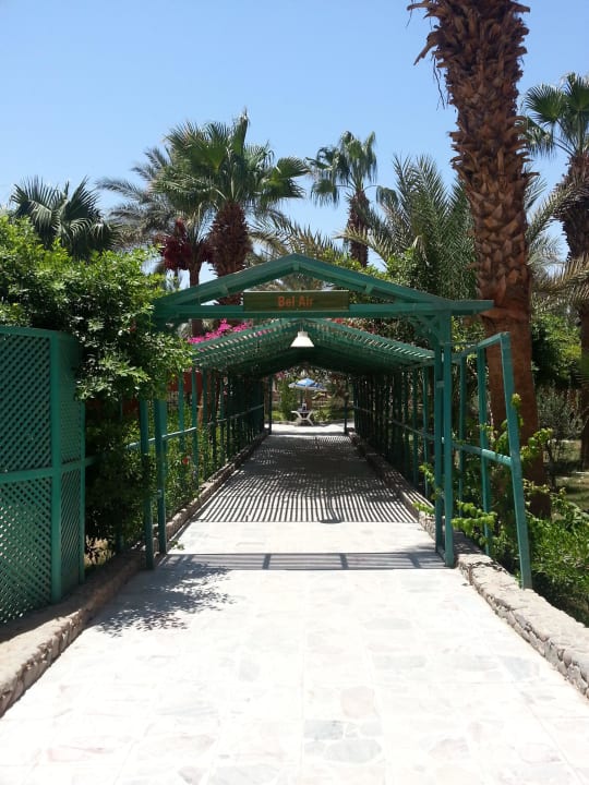 Garten Arabia Azur Resort