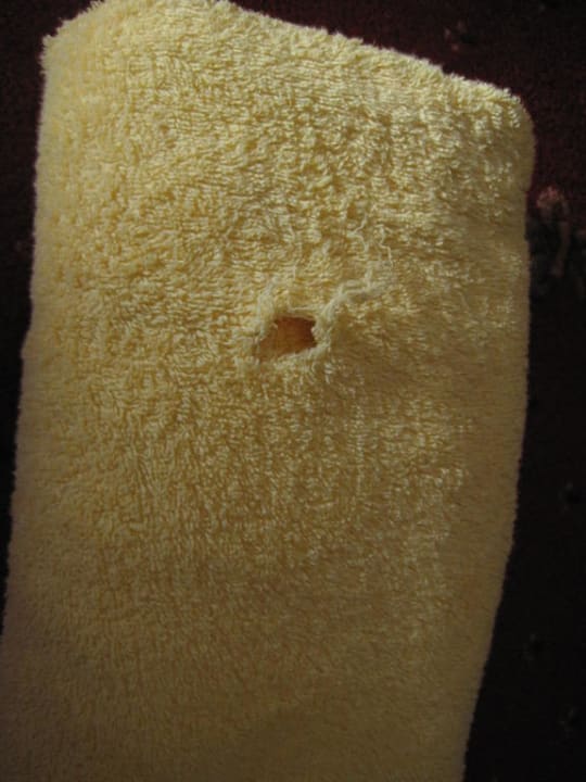 Badetuch Hotel Alphof Alpbach