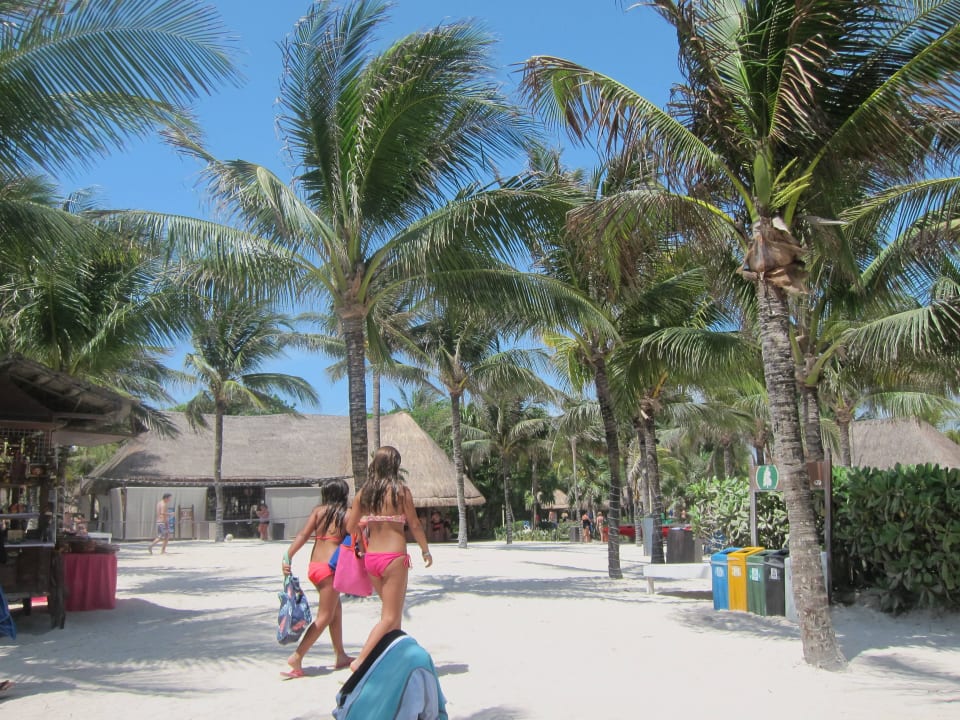 Kantenah Grand Palladium Kantenah Resort & Spa