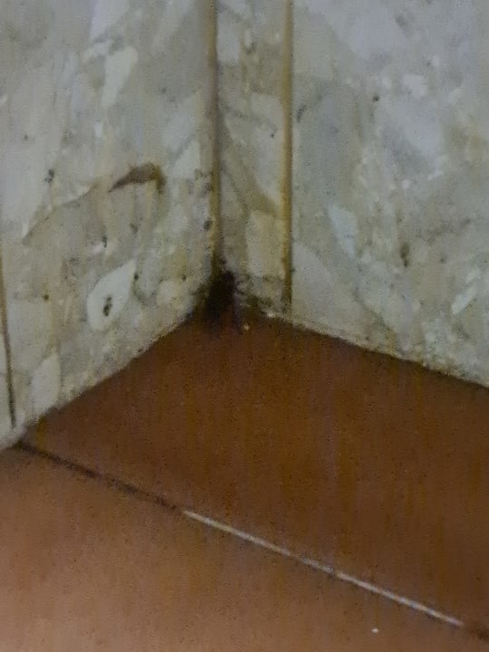 Zimmer Marien Puerto Plata