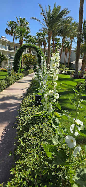 Gartenanlage Amarina Abu Soma Resort & Aquapark