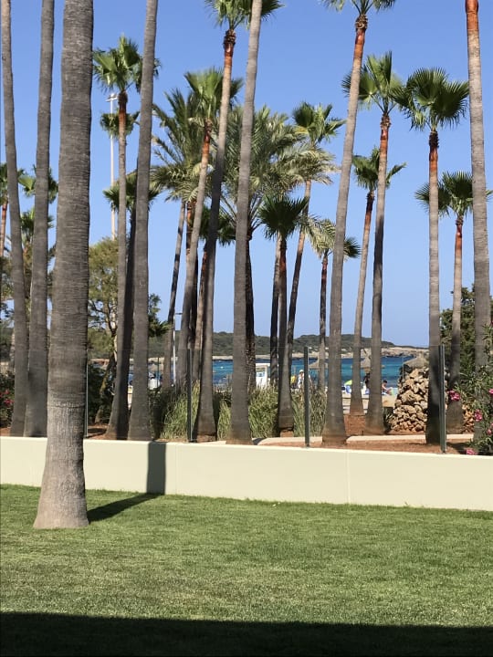 Gartenanlage Hipotels Mediterraneo Club