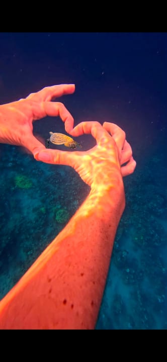 Strand Makadi Spa - Adults only