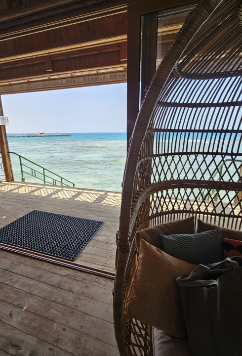 Sonstiges Desert Rose