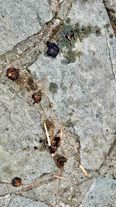 Außenansicht Hotel Geranion Village