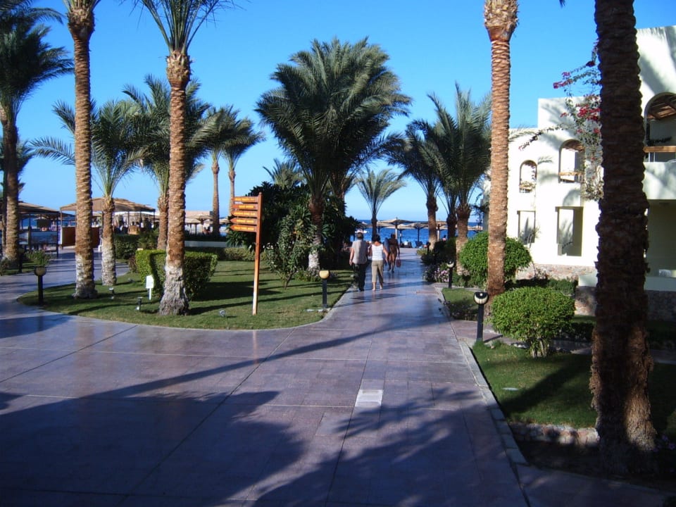 Weg zum Strand Palm Beach Resort