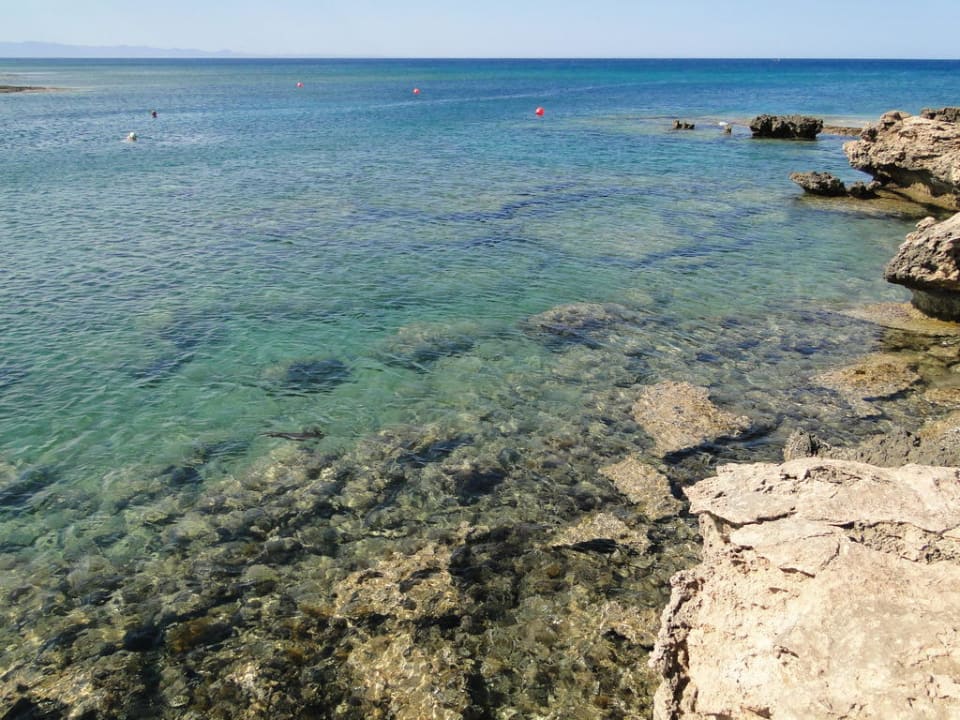 Crystal Springs Beach Hotel Crystal Springs Beach Hotel