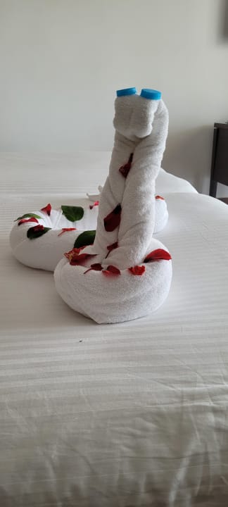 Zimmer Steigenberger Makadi Hotel - Adults only