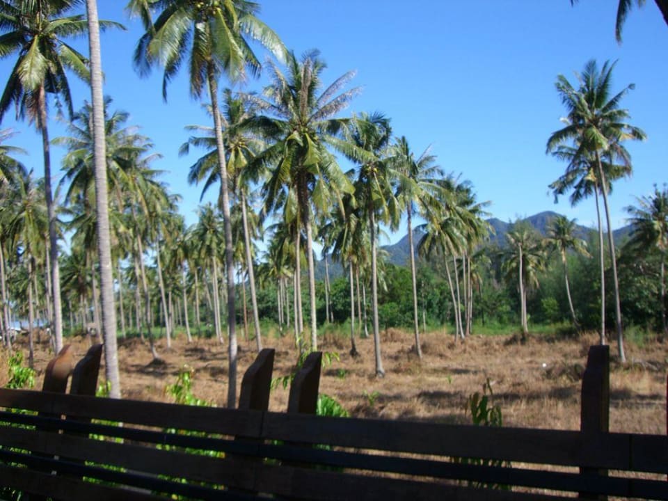 Ausblick vom Restaurant Hotel The Dewa Koh Chang