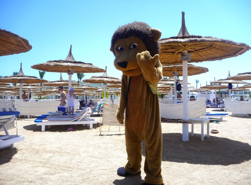 Kinderanimation Pickalbatros Dana Beach Resort - Hurghada