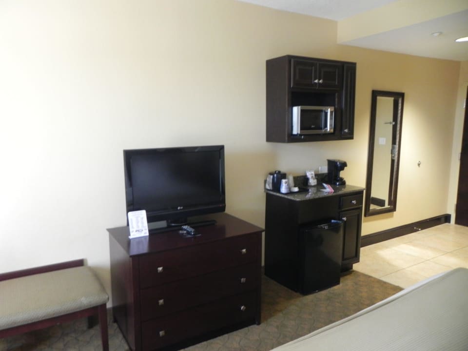Fernseher, Minibar, Kühlschrank, Mikrowelle Holiday Inn Express Hotel & Suites Tampa USF Busch Gardens