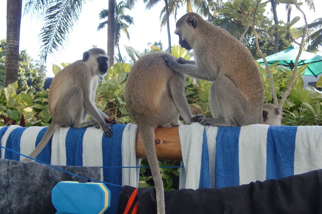 Balkon Travellers Beach Hotel & Club