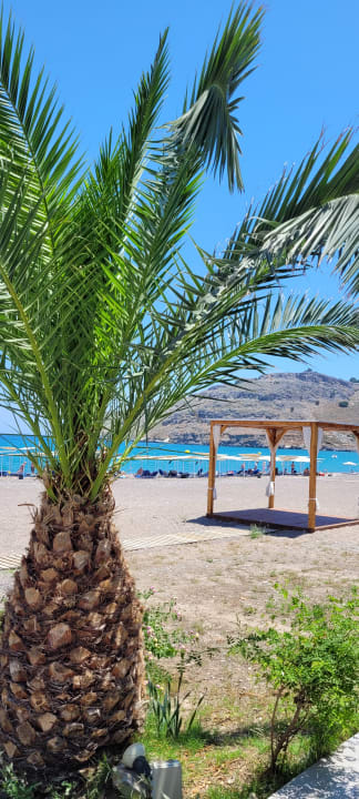 Ausblick TUI BLUE Lindos Bay