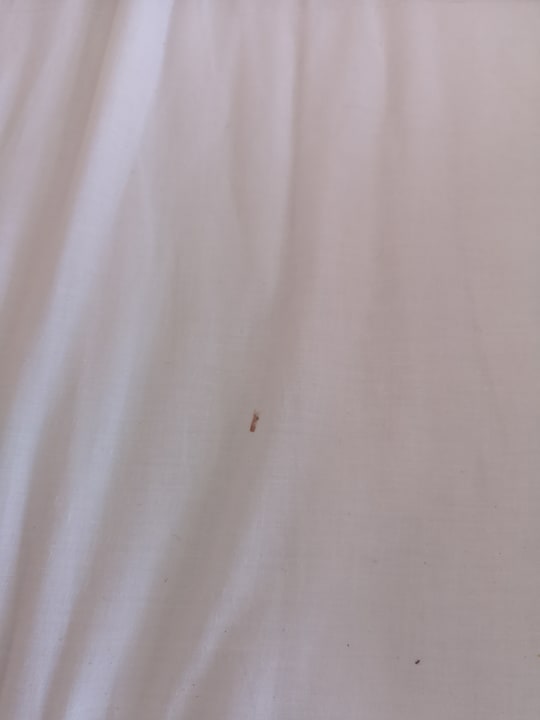 Zimmer Three Corners Equinox Beach Resort