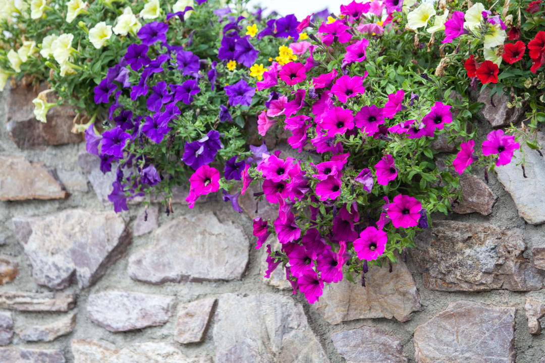 Sonstiges Hotel die Arlbergerin