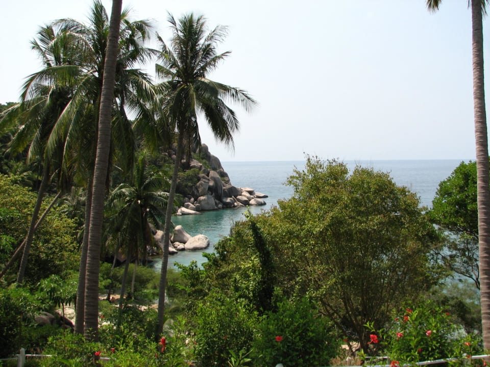 Du bungalow Hotel Freedom Beach Resort