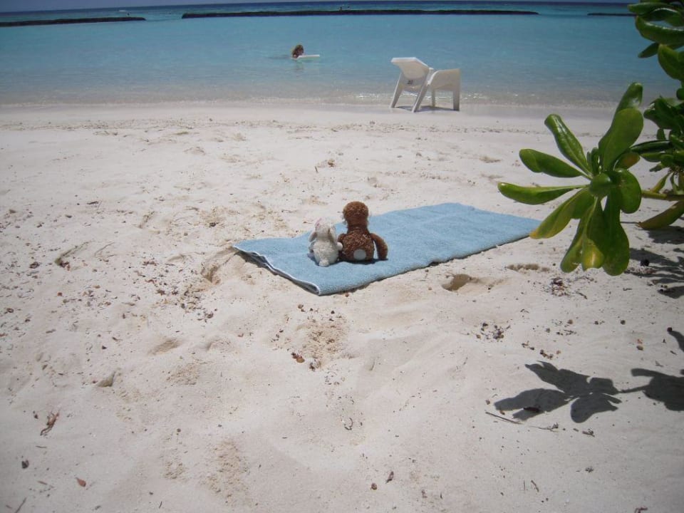 Strandleben Kuramathi Maldives