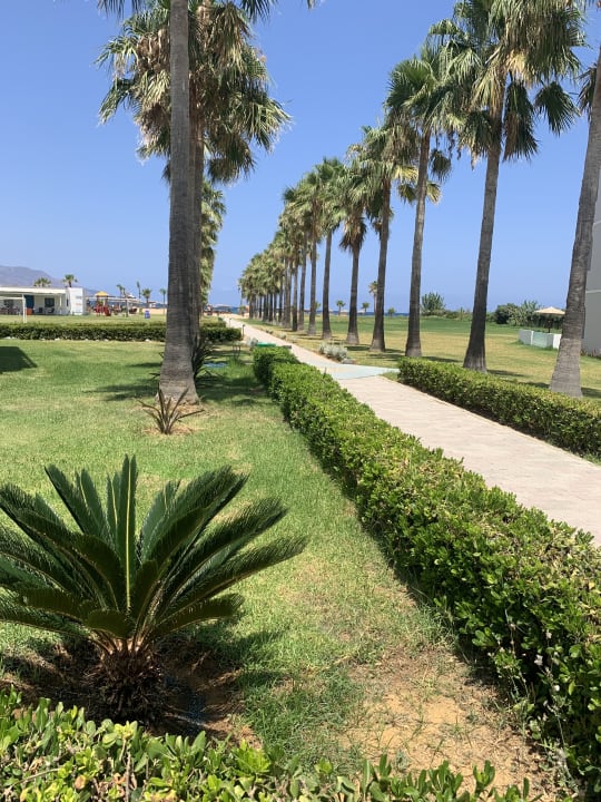 Gartenanlage Delfina Tropic Beach