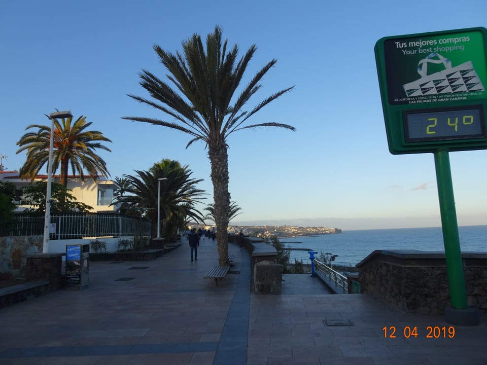 Sonstiges Hotel Riu Palace Palmeras