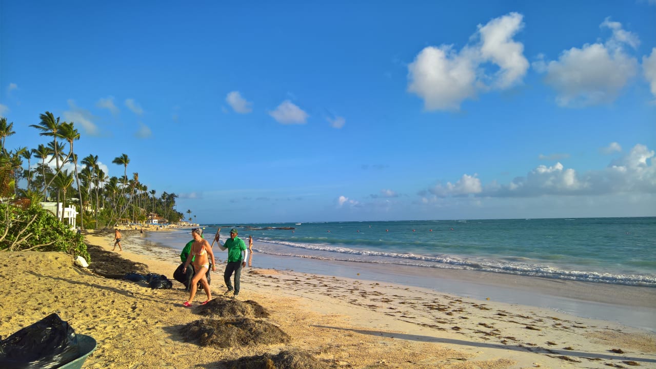 Strand whala!bávaro