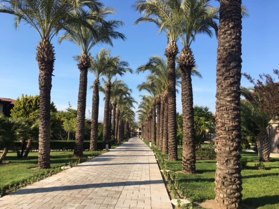 Gartenanlage TUI BLUE Palm Garden