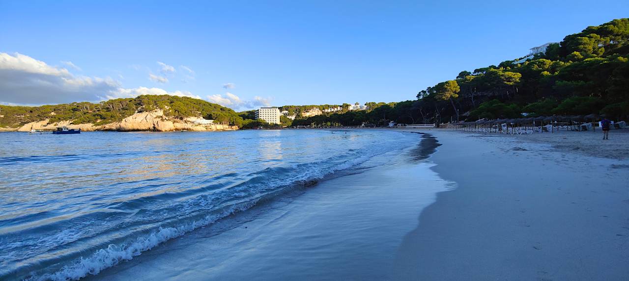 Strand Artiem Audax