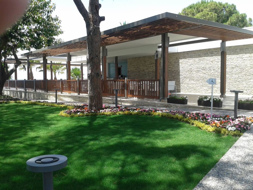 Meeresfrüchte A la Carte Acanthus Cennet Barut Collection