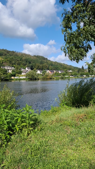 Ausblick Hotel Zum Günen Kranz