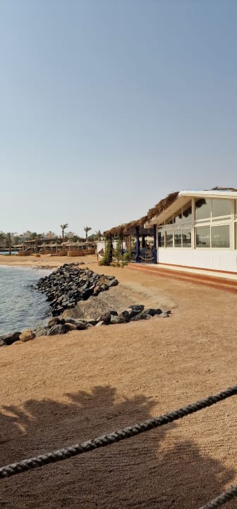 Ausblick Desert Rose