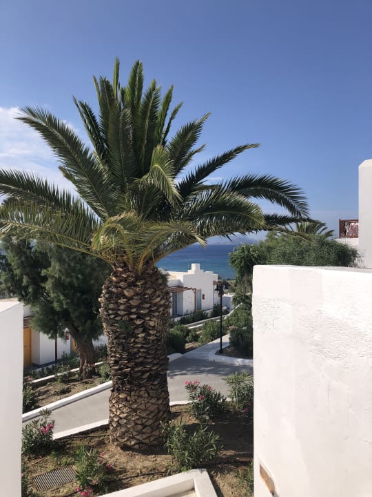 Ausblick Lagas Aegean Village