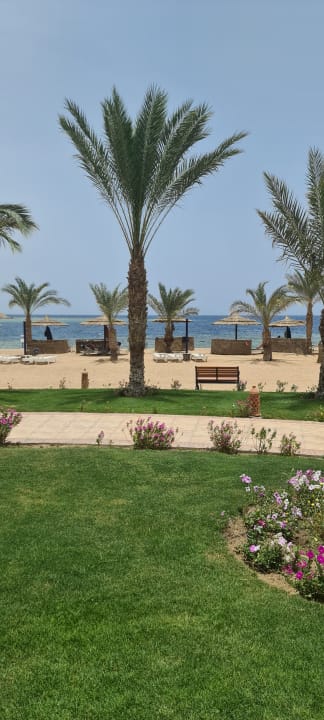 Strand Coral Sun Beach