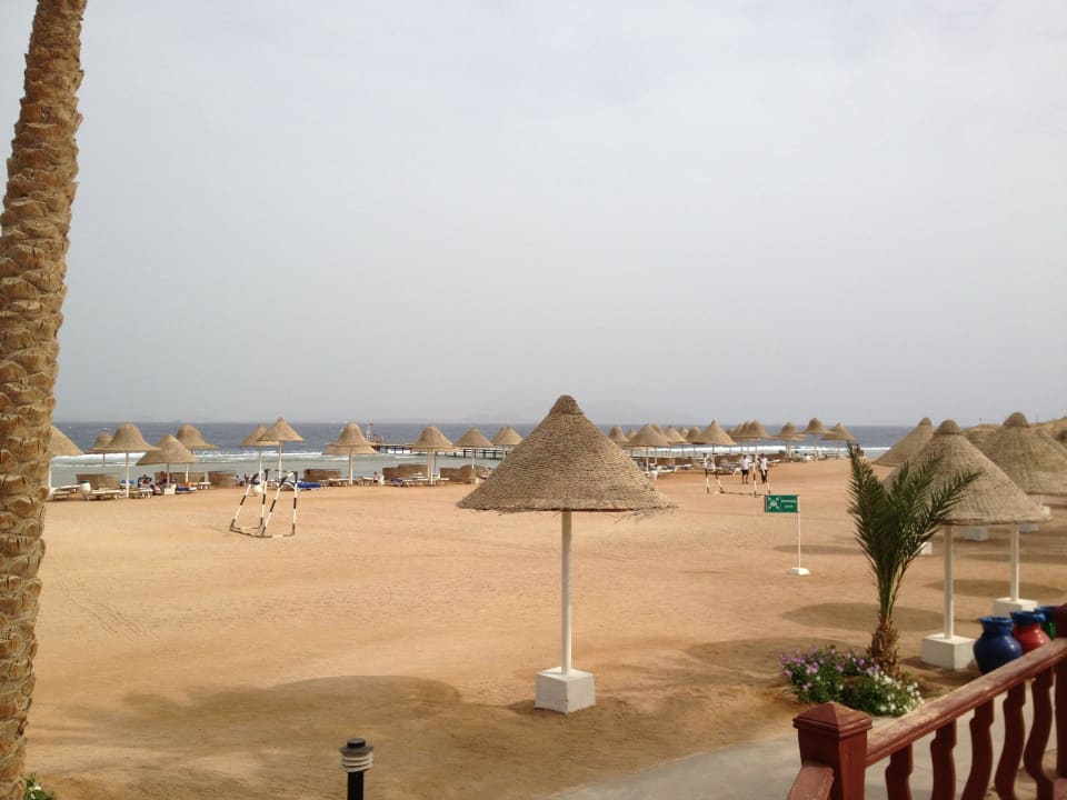 Plaża Parrotel Beach Resort