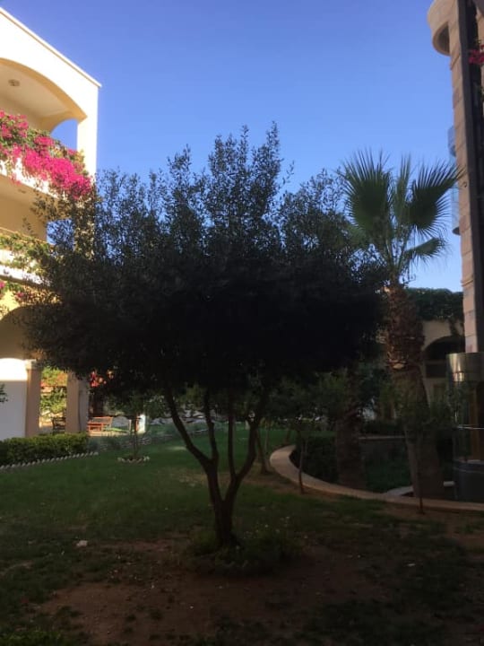 Ogród Lindos Imperial Resort & Spa