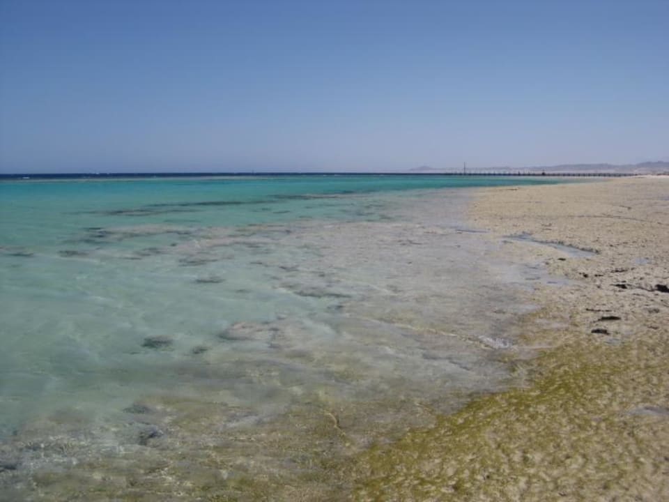 Gorgonia Beach Hotel Gorgonia Beach Resort