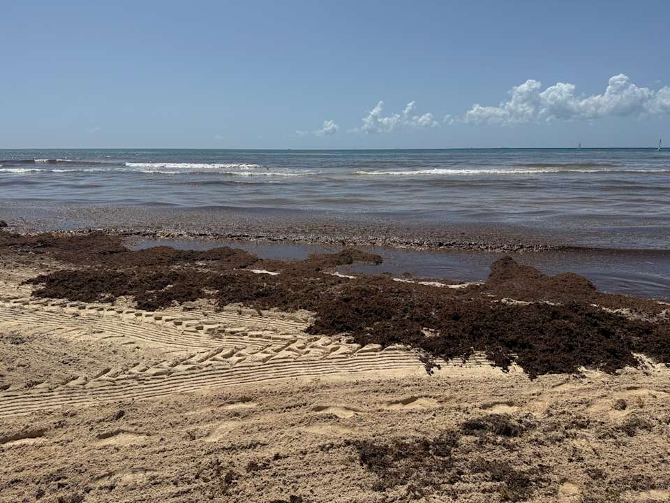 Strand Viva Azteca by Wyndham - All Inclusive Resort