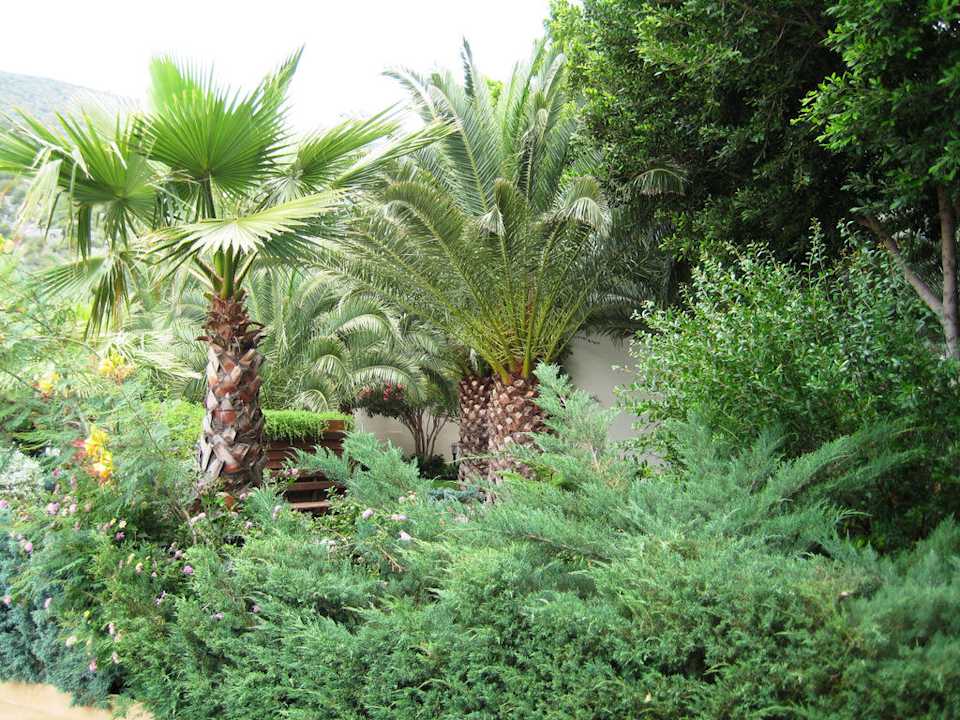 Garden Latanya Park Resort