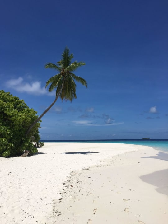 Traumhaft schön  ROBINSON MALDIVES