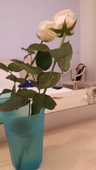 Begrüßungsrose auch nach 1 Woche noch schön Rhodos Horizon Resort