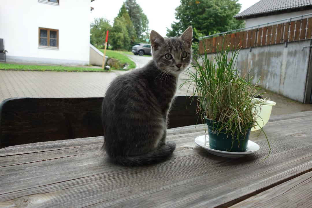Sonstiges Ferienhof Bitschnau