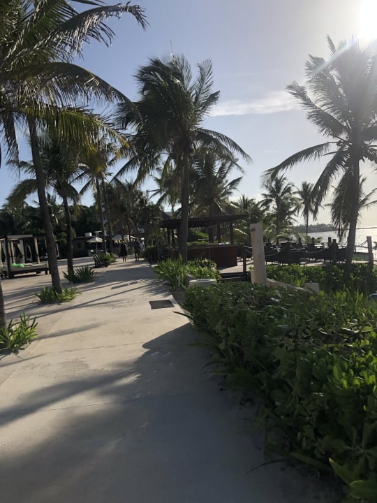 Gartenanlage Akumal Bay Beach & Wellness Resort