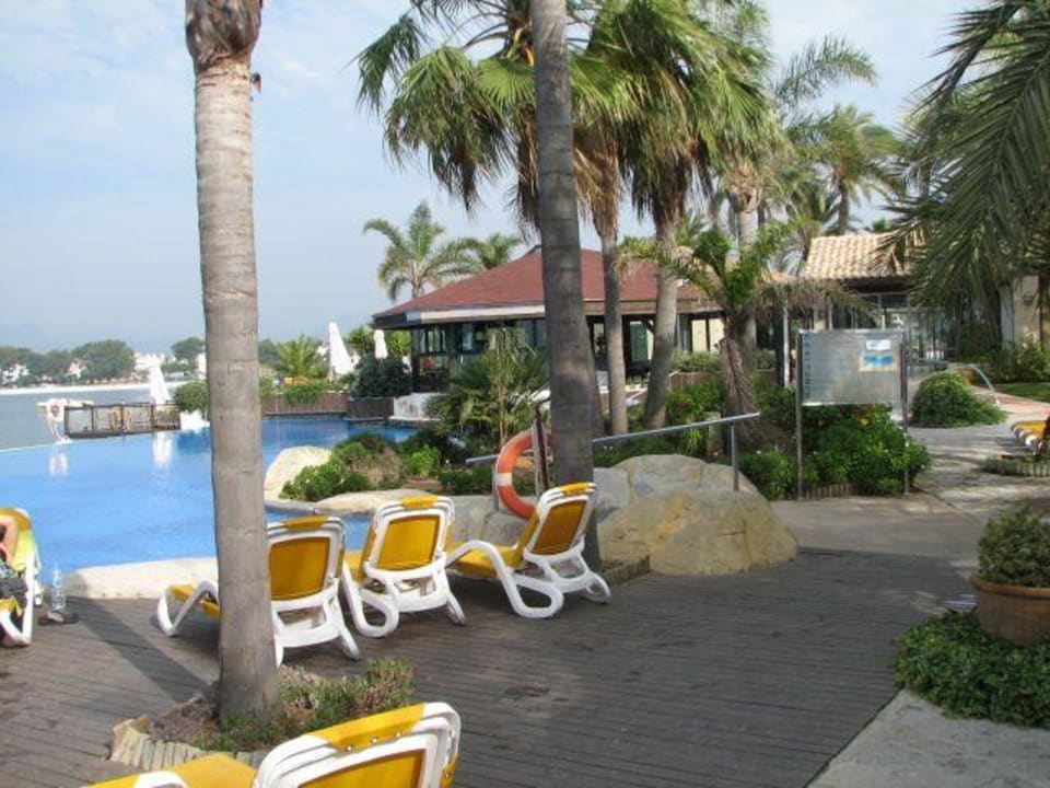 Poolbereich Alcudiamar Marina Residence