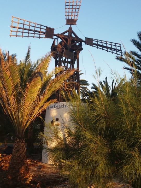 Garten Hotel Riu Oliva Beach - Hotel