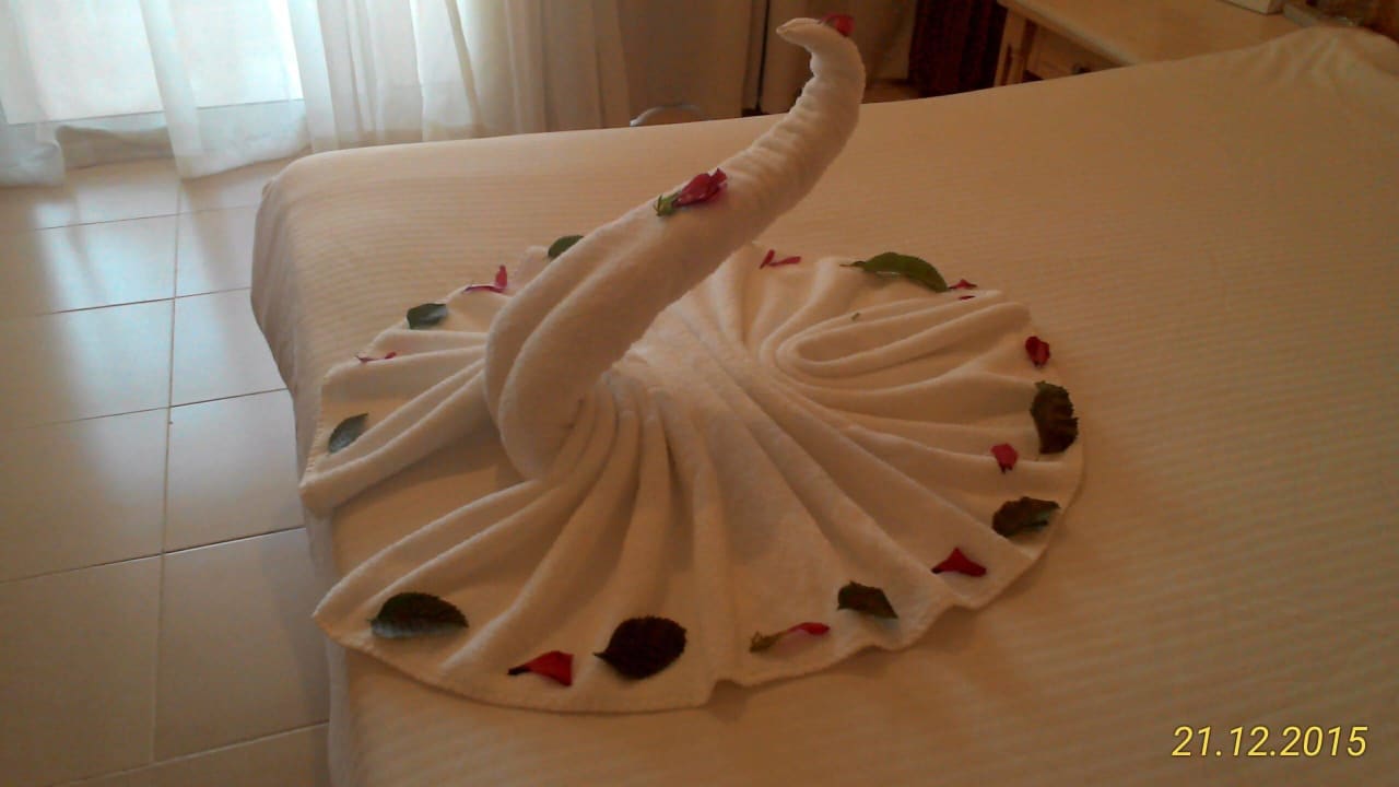 Weihnachten / Silvester 2015/2016 Pickalbatros Aqua Vista Resort - Hurghada