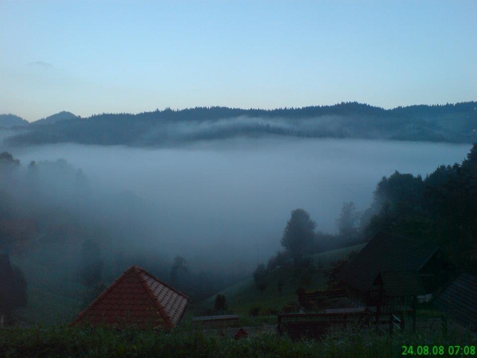 Talblick am Morgen Schwarzwald Resort Dollenberg