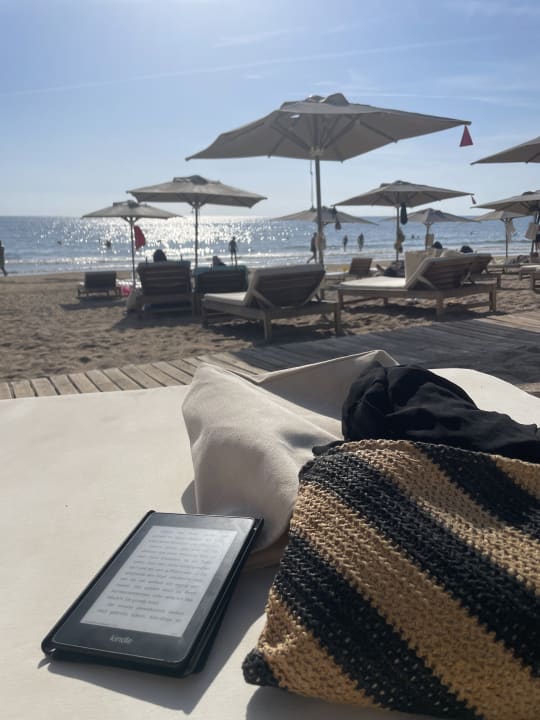 Strand Acanthus Cennet Barut Collection