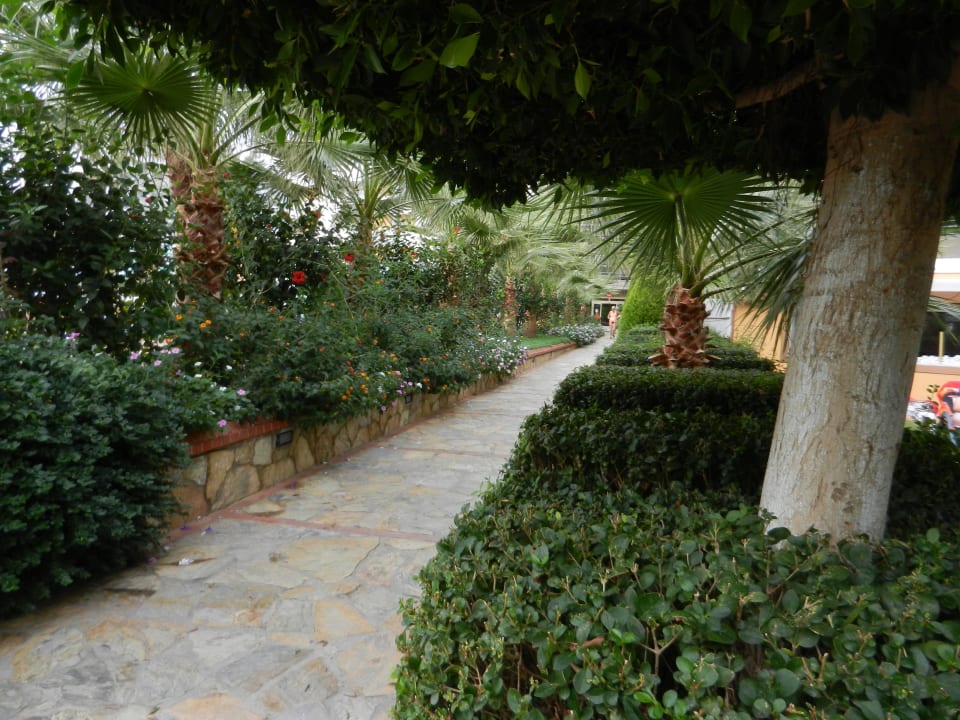 Weg zur Lobby My Home Resort