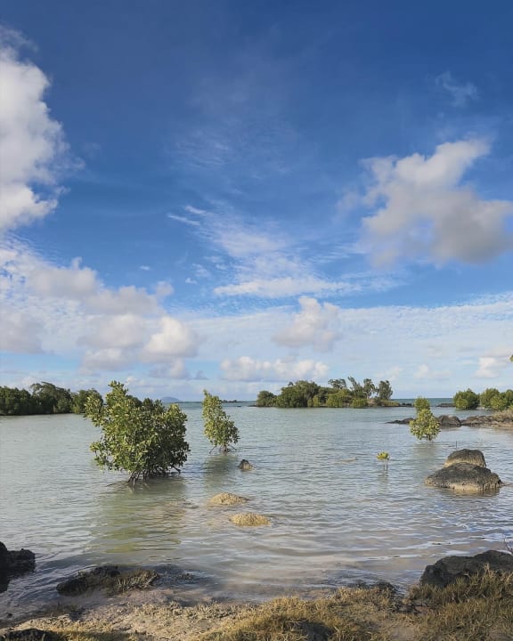 Gartenanlage Lagoon Attitude - Adults only