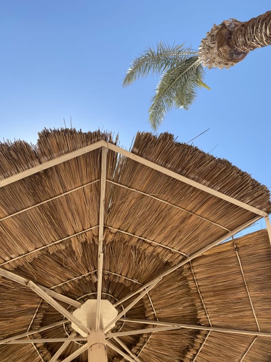 Sonstiges Pickalbatros Palace Resort